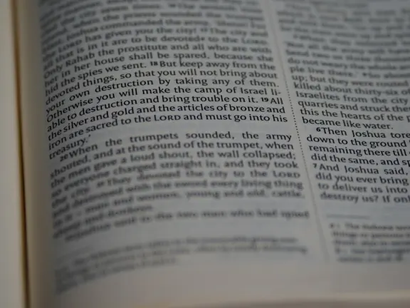 Hejgo Casino Suporte